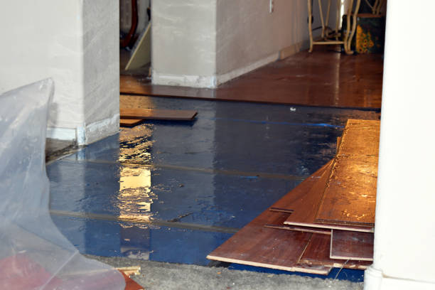 Professional Water Damage Restoration technician working in Ivanhoe, TX